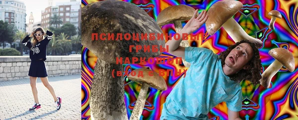 a pvp Абинск