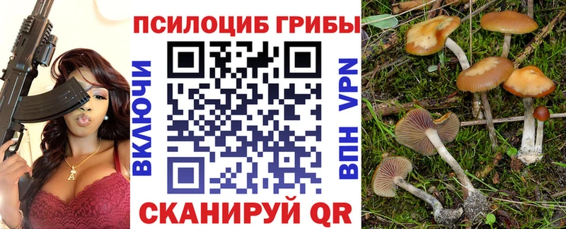 цены   Алапаевск  Галлюциногенные грибы прущие грибы 